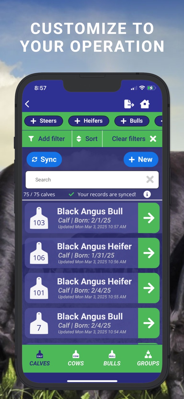 iPhone screenshot