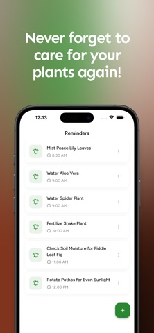 MyPlants.ae screenshot