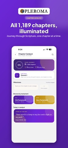 PLEROMA screenshot