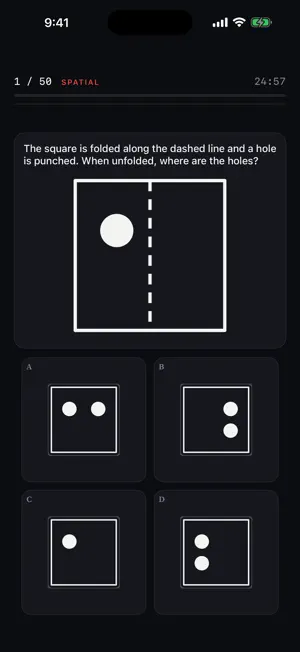 IQ Mosaic screenshot 2