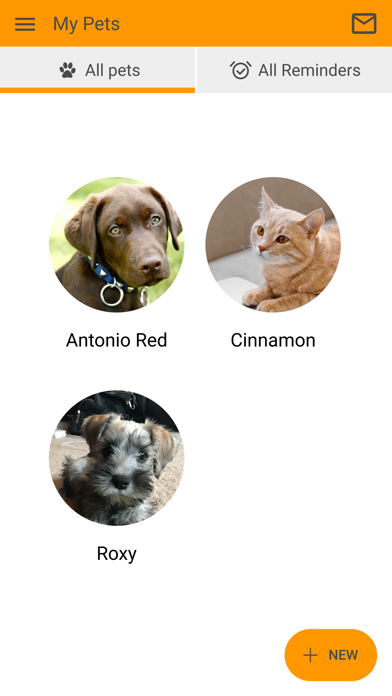 Magnolia Animal Hospital Screenshot