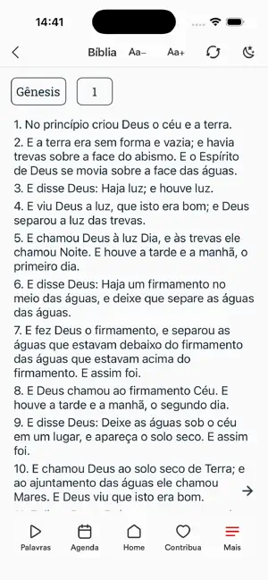 IBSAlagoinhas screenshot 4