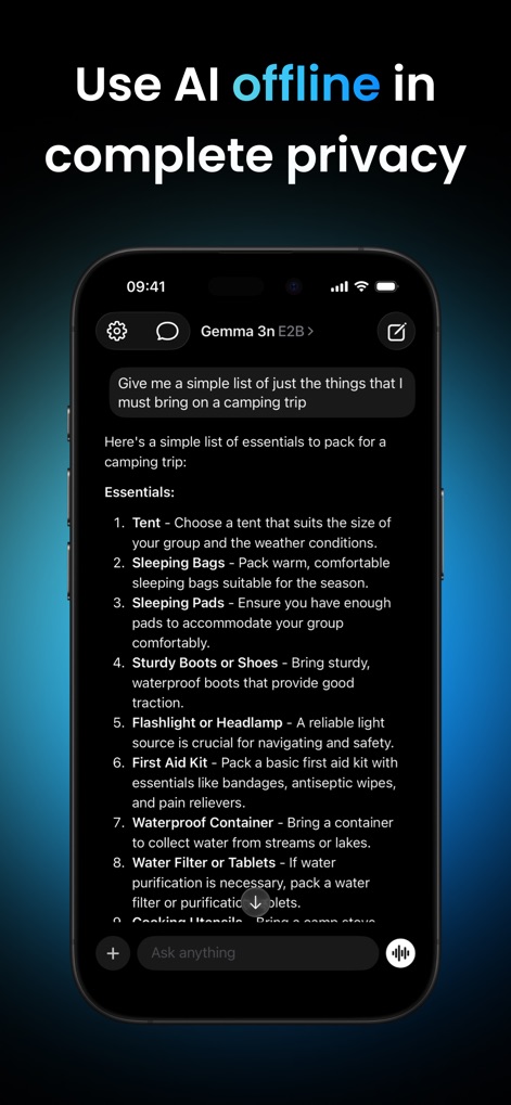 Locally AI - Local AI Chat - Users can experience seamless AI conversations offline, as demonstrated by a practical list of "camping essentials" generated by the "Gemma 3n E2B" model.