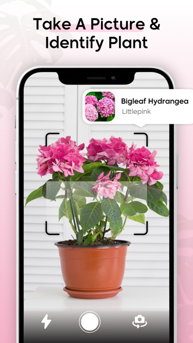 Ai Plant Identifire Plant Care Screenshot