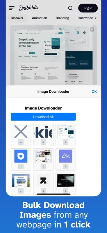 Image Downloader for Safari screenshot 1 of 1