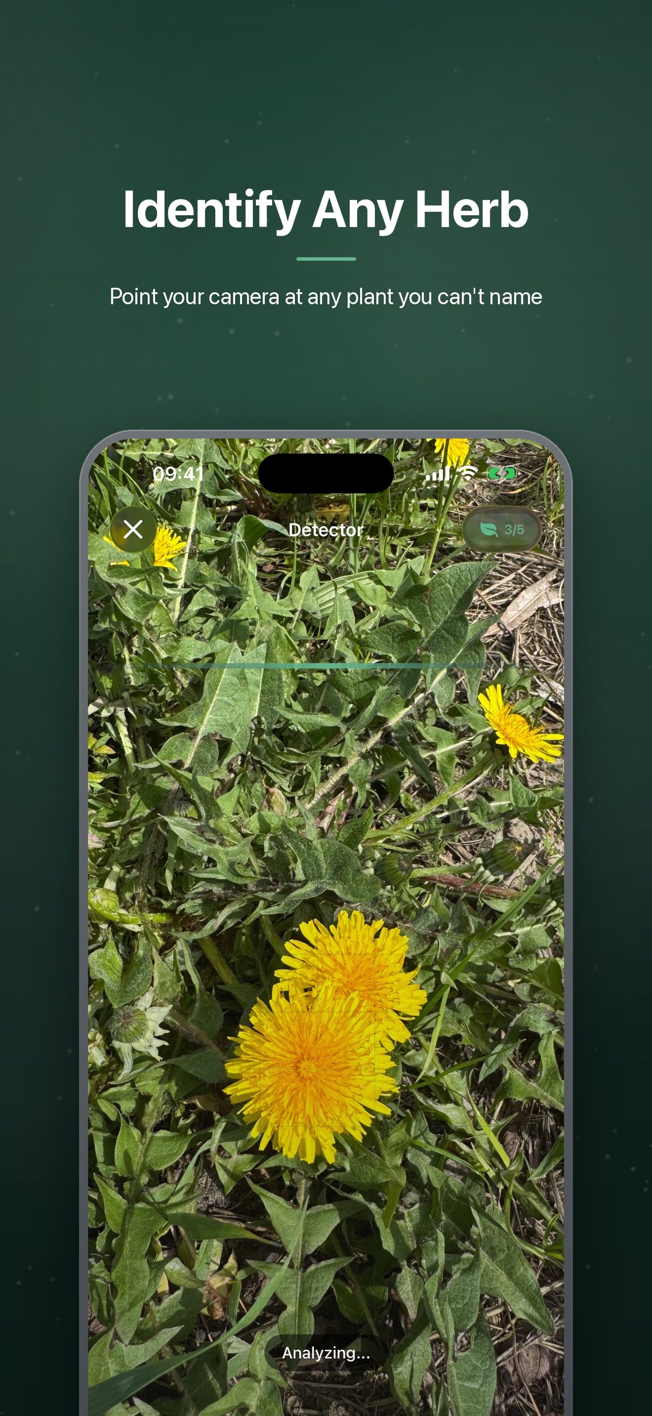 Screenshot 5 of Terra: Herb & Plant Identifier