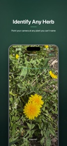 Terra: Herb & Plant Identifier screenshot