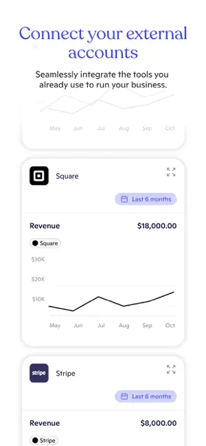 Novo - Small Business Checking screenshot 4