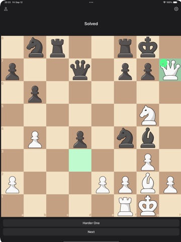 Zen Chess Puzzle iPad screenshot