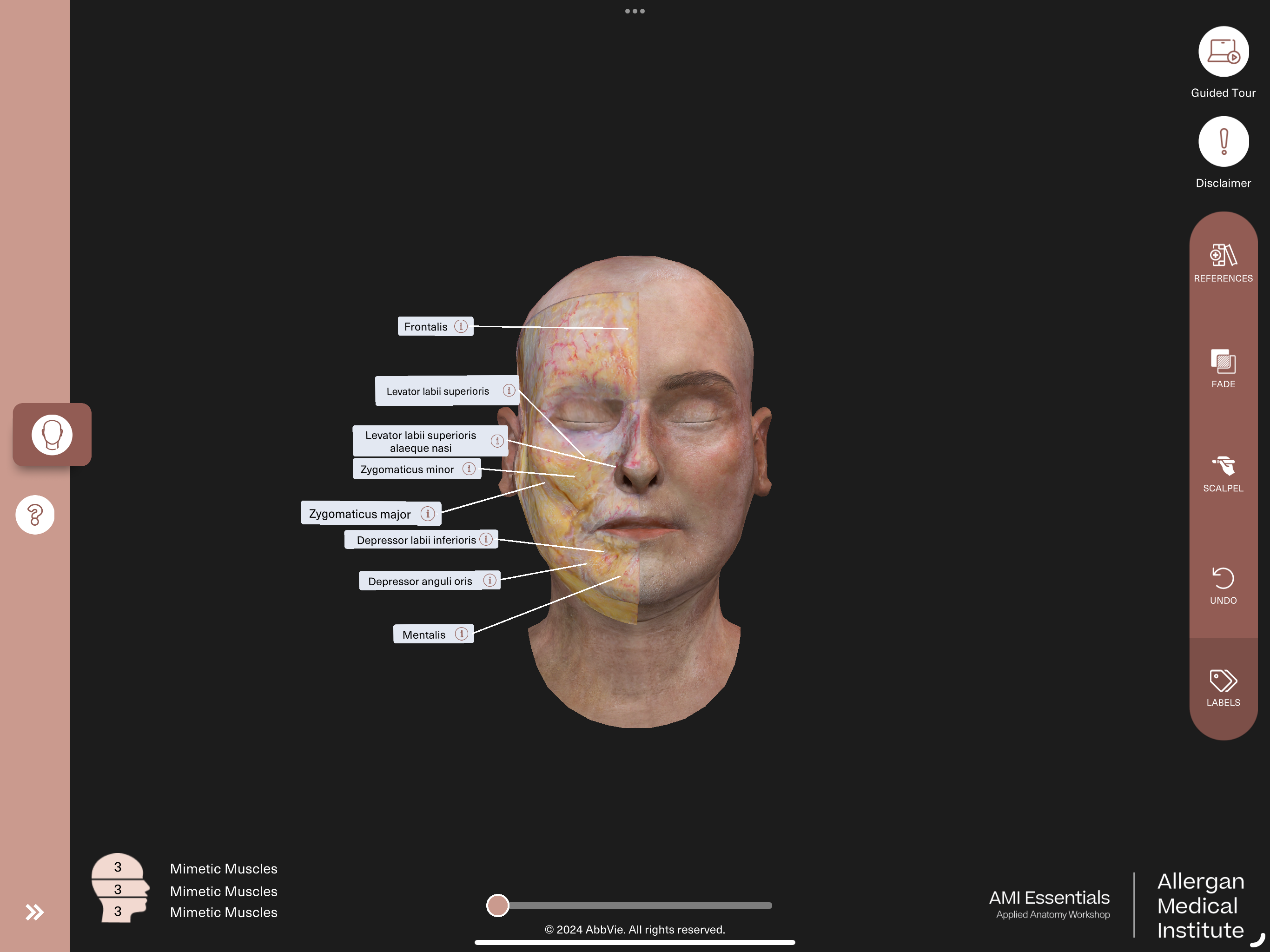 AMI Essentials: 3D Anatomy TH screenshot 16