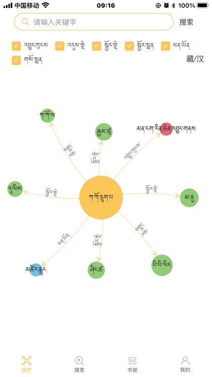 班智达智慧藏医