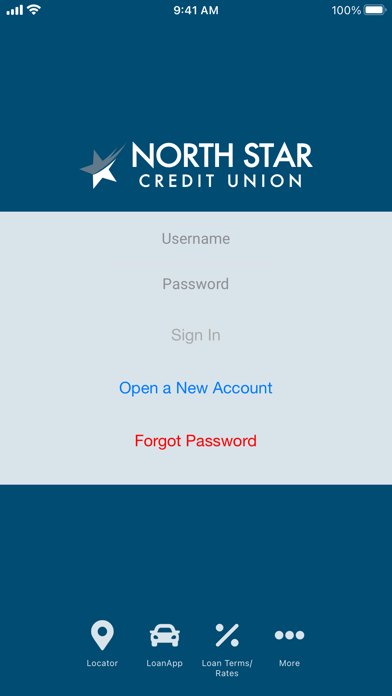 North Star Credit Union Screenshot
