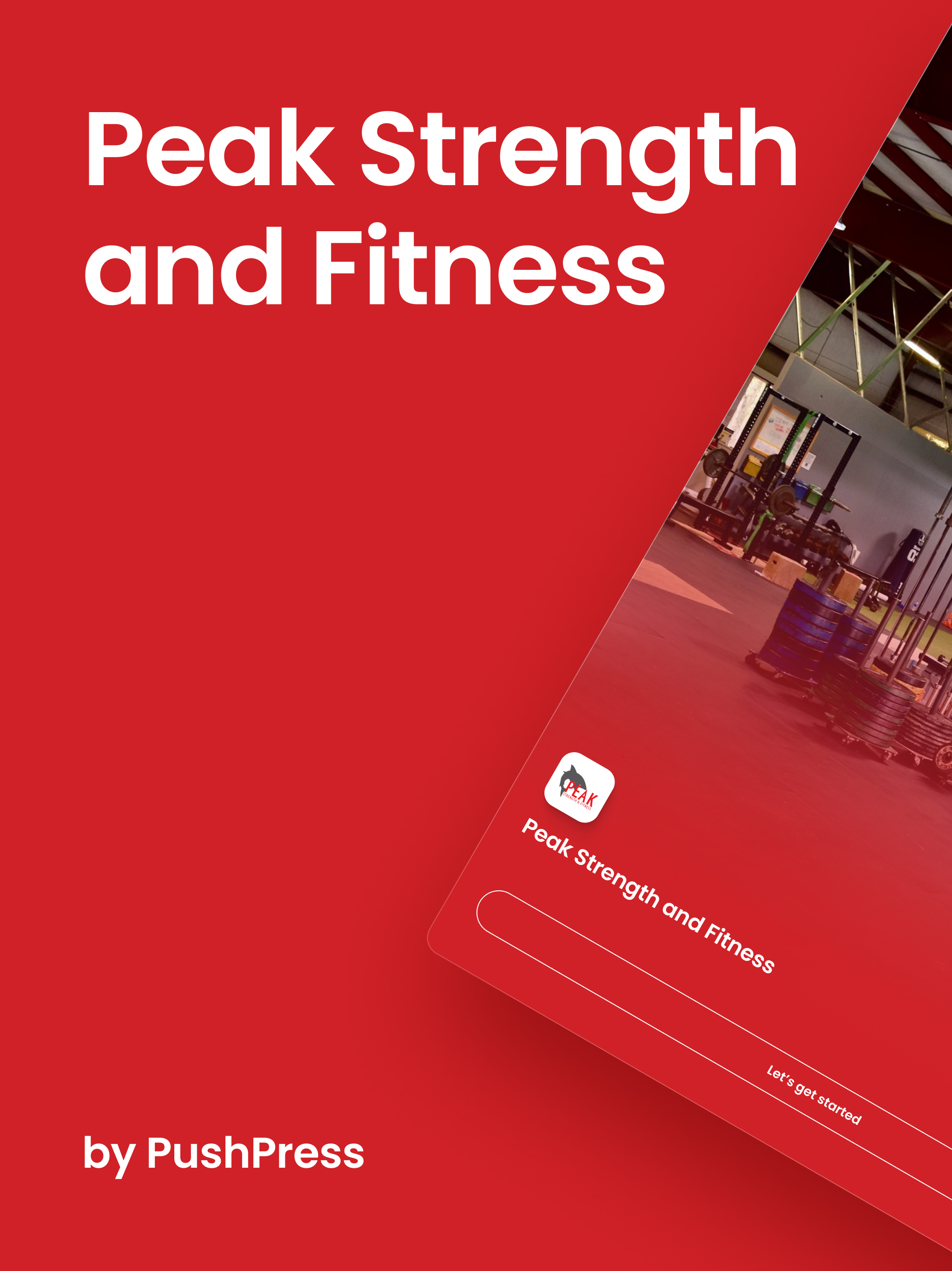 Peak Strength and Fitness screenshot 6