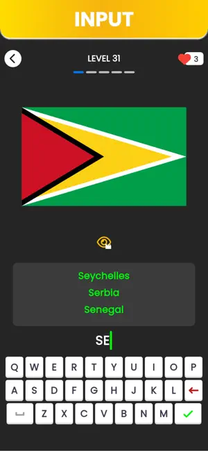 Flag Games 26 screenshot 3