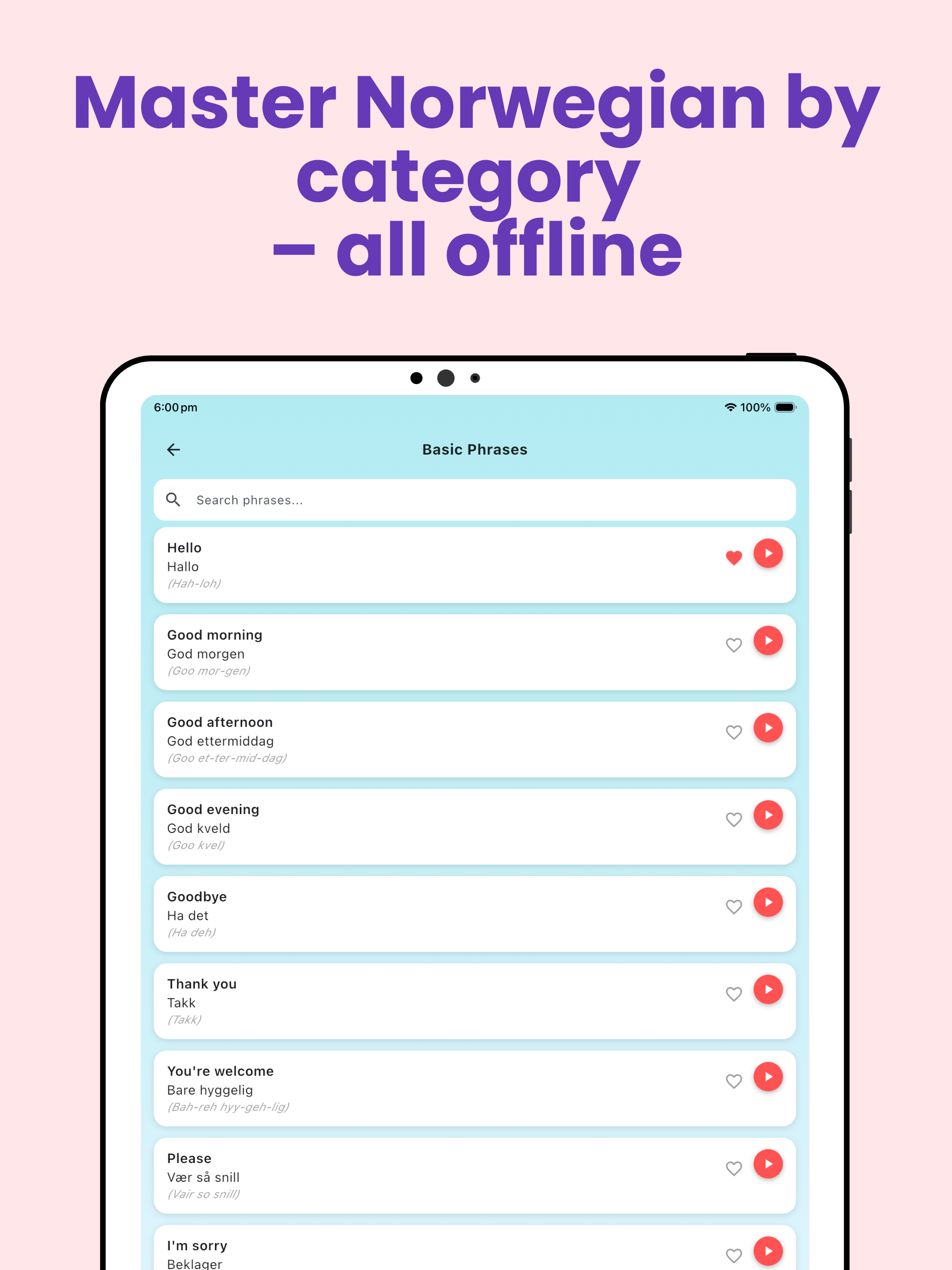Norwegian Travel Phrases screenshot 8