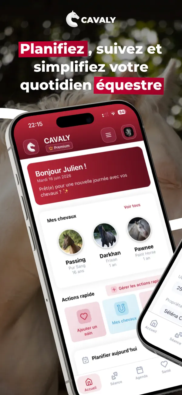 Screenshot #1 pour Cavaly