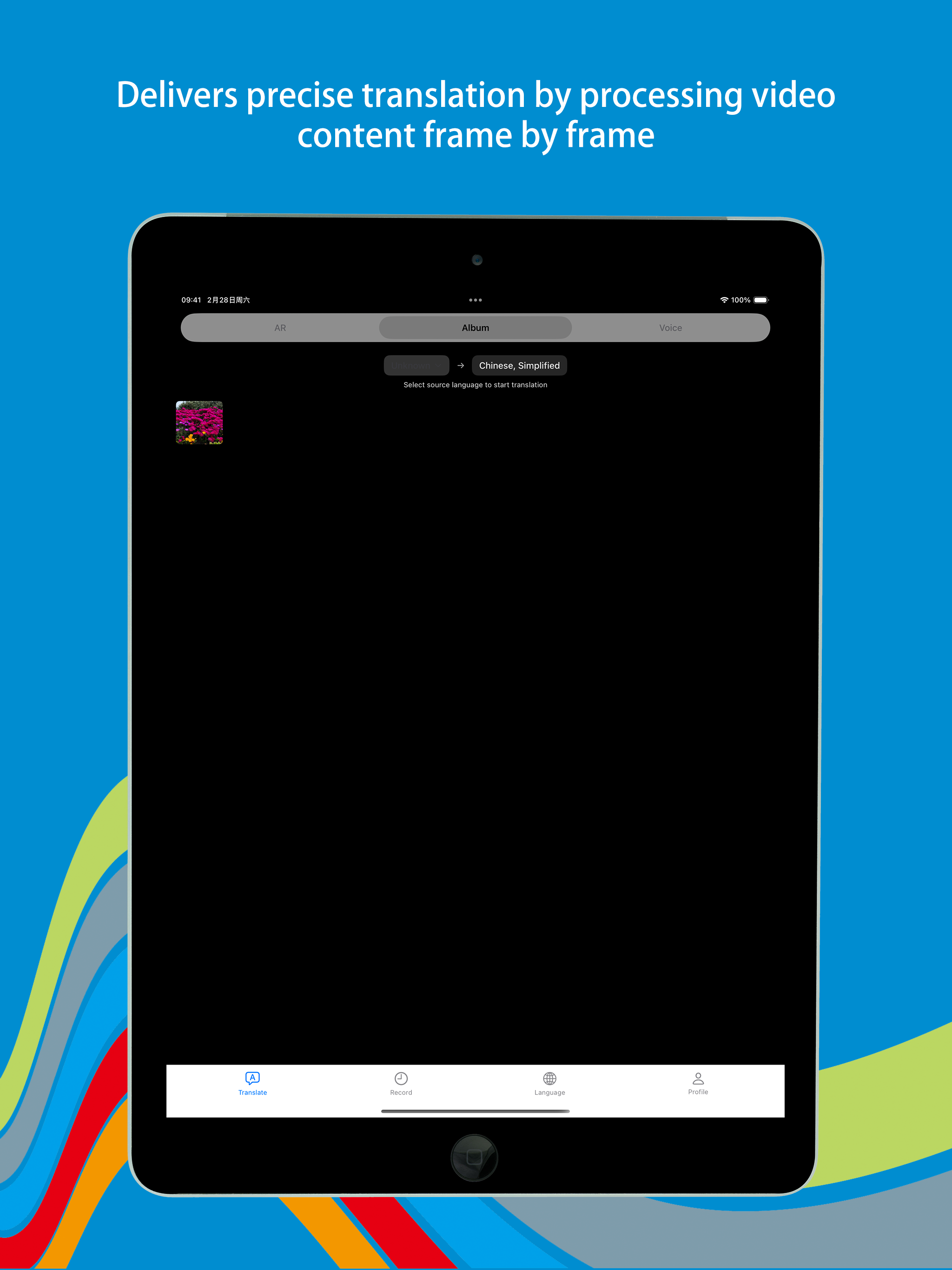 Wonder Gloss - Translator