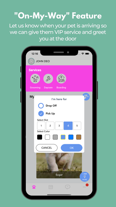 LapDog Mobile Grooming Screenshot