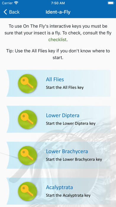 Screenshot #3 pour On The Fly