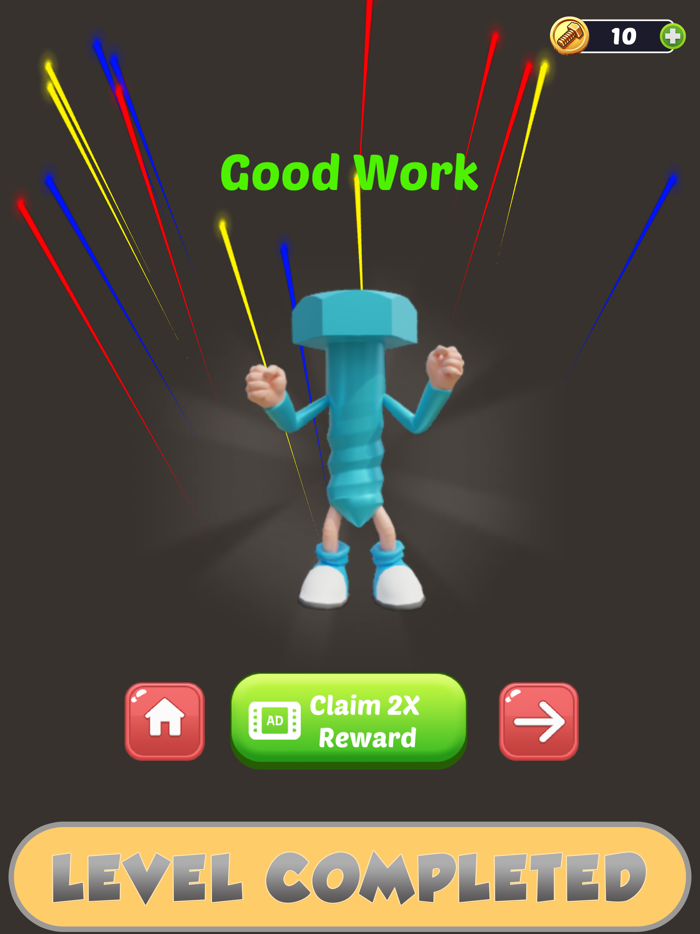 Screw Challange Pin Puzzle