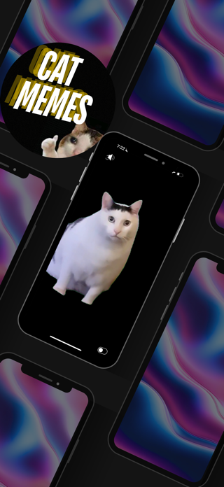 CatMemes Screenshot 2 of 4