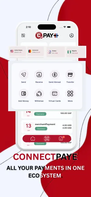 ConnectPaye screenshot 1