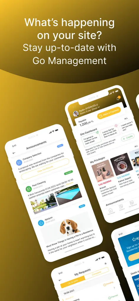Go Management - Business App | MWM