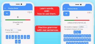MemRussian: Cases and Vocab Screenshot 8 of 8