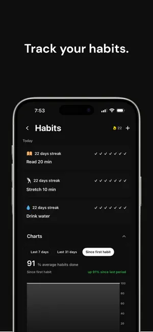 DailyArc screenshot 2
