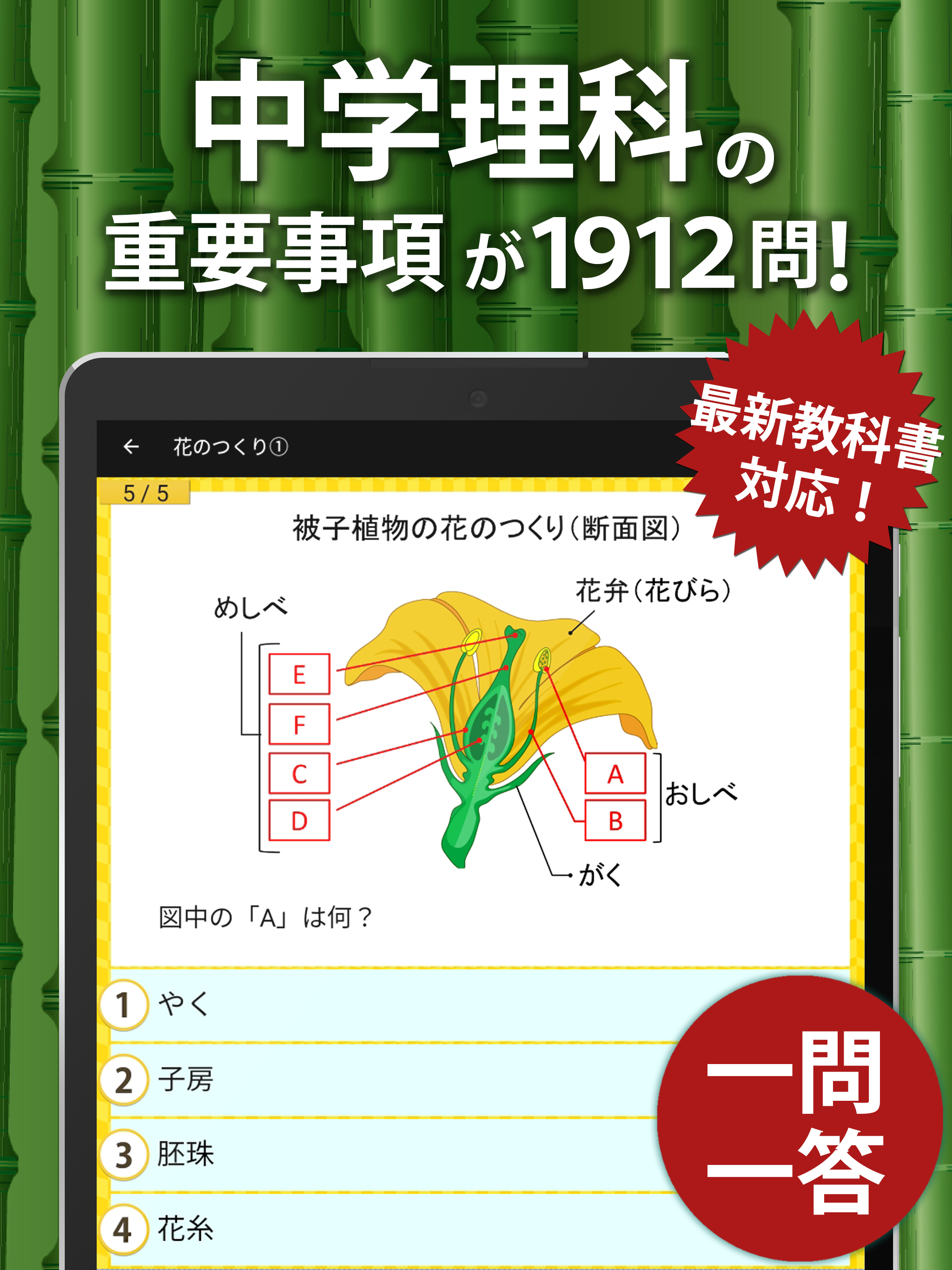 中学理科 screenshot 4