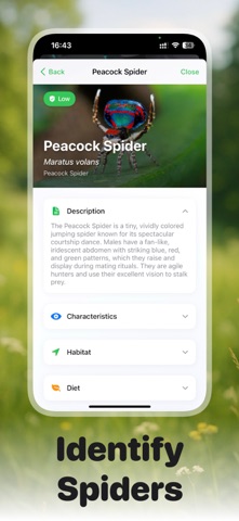 Picture Insect: Bug ID Screenshot 8 of 10