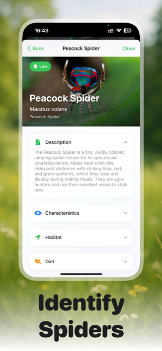 Picture Insect: Bug ID Screenshot 8 of 10