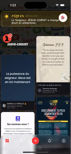 FoiZone screenshot 1