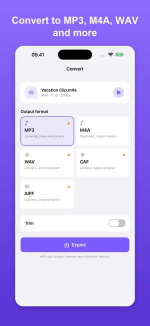 Video to MP3: MP4 Converter screenshot 2