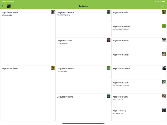 Screenshot #6 pour DogScroll