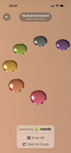 Needle Go AR screenshot 3