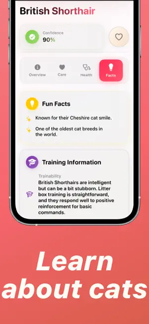 Cat Breed Identifier: Kityko screenshot 3