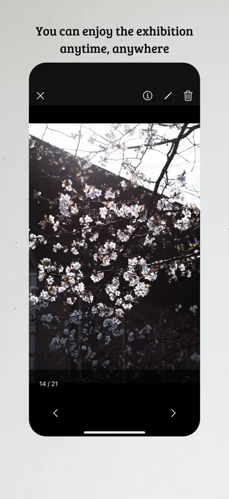 exhivision screenshot