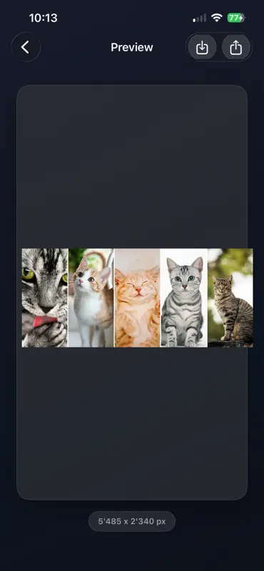 ShotMerge: Screenshot Stitcher screenshot 6 of 7
