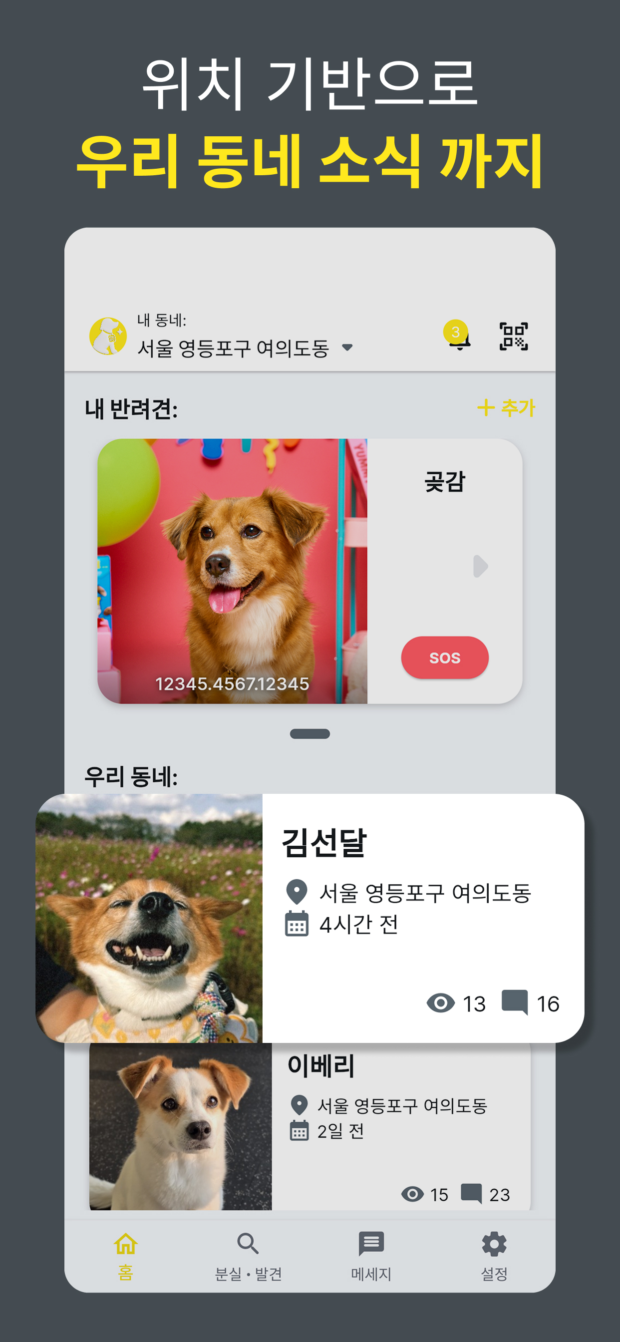 찍멍 - 반려견과 우리들의 연결고리