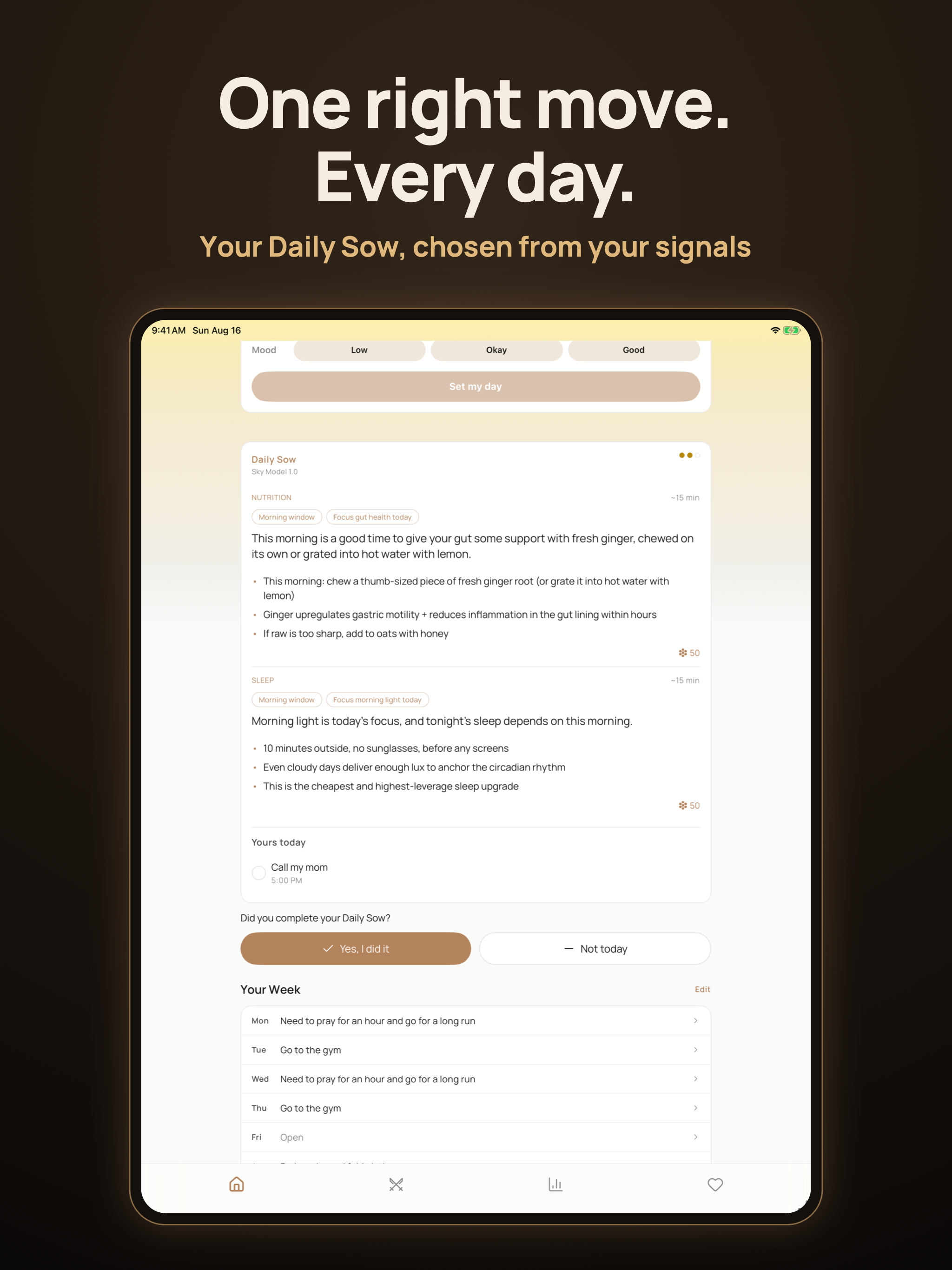 Elevatia screenshot 7