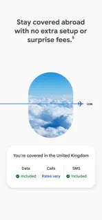 Google Fi Wireless screenshot 4