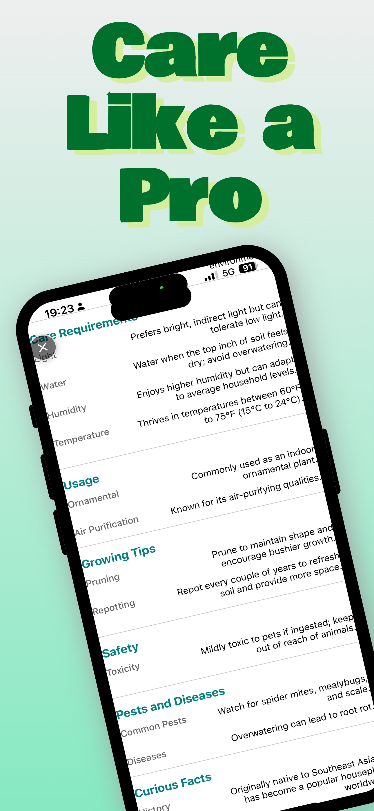 Flora AI - Plant Identifier
