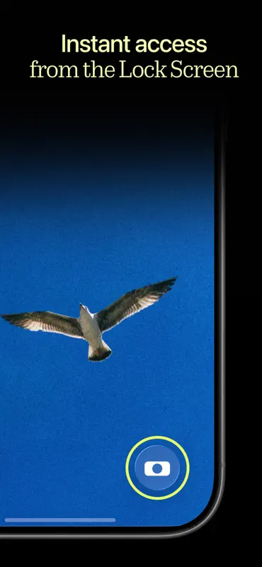 Lampa — Digital & Film Camera screenshot 10 of 10