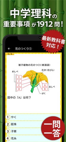 中学理科 のスクリーンショット