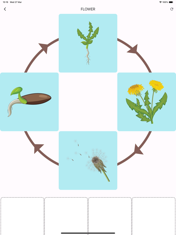 Screenshot #5 pour Learn life cycle for toddler