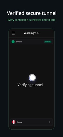 WorkingVPN: Fast & Secure VPN Screenshot 3 of 4
