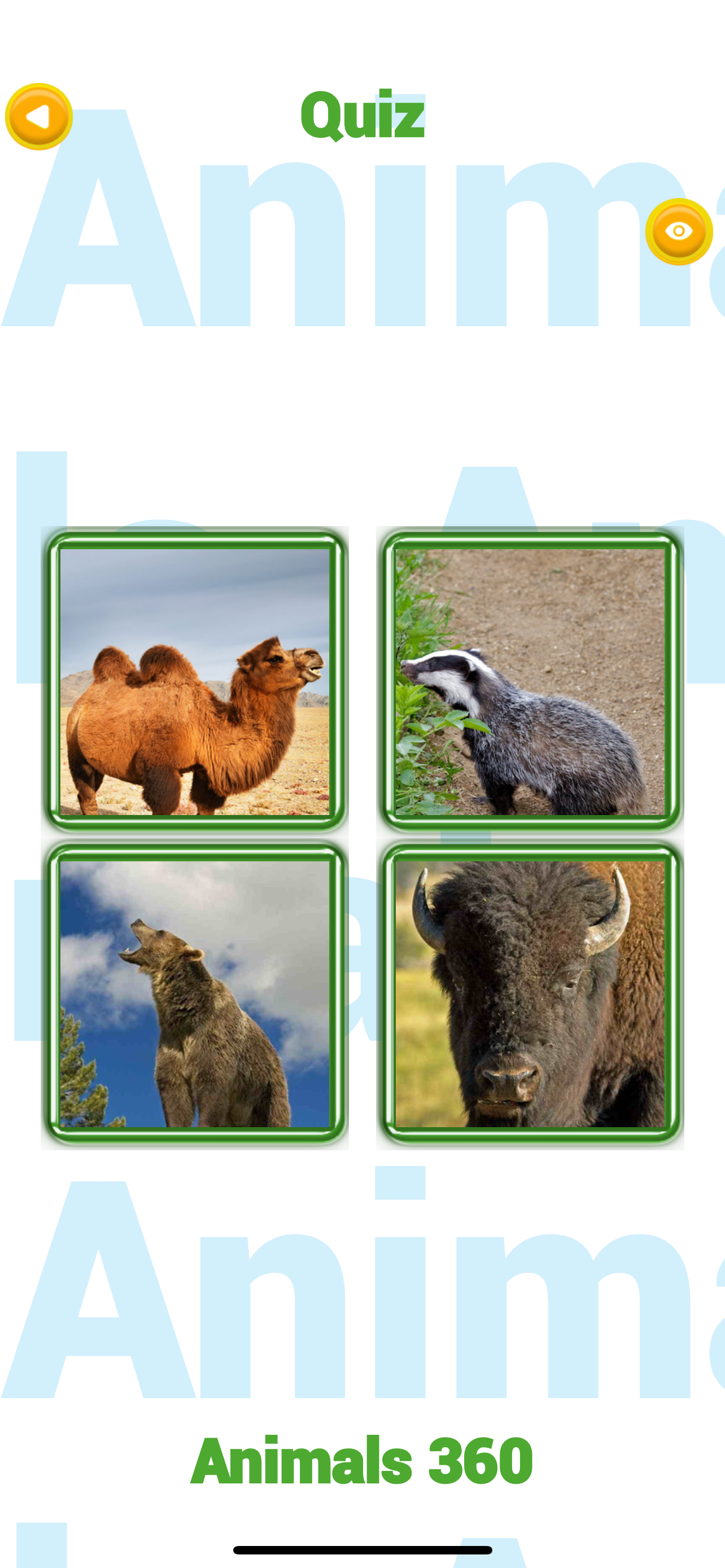 Animals 360