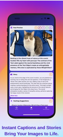 Photo Vision AI: Smart Caption Screenshot 3 of 6