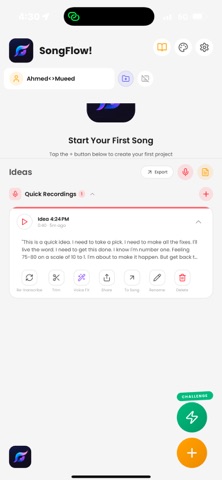 SongFlow! screenshot